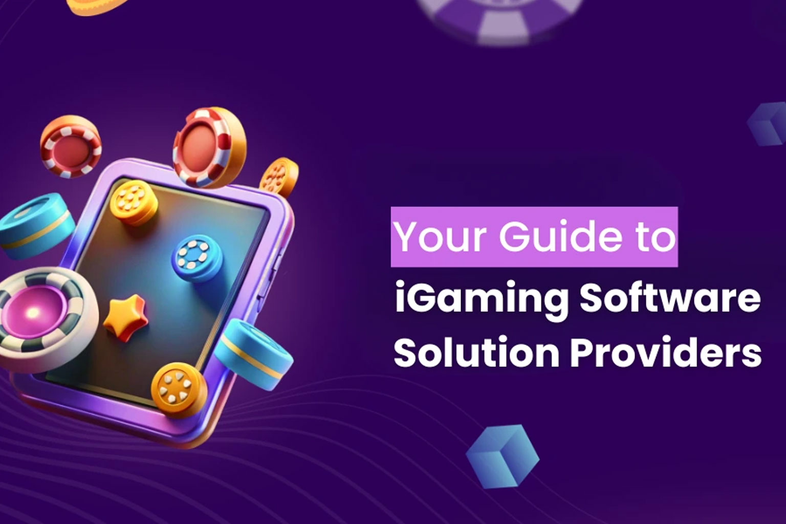 Startup Launch Case Study